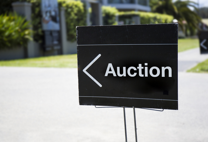 Auction sign, outside suburban home, positioned on front lawn.