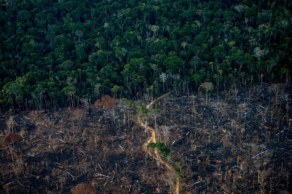 TOPSHOT - Aerial view show a deforested area of Amazonia rainforest in Labrea, Amazonas state, Brazil, on September 15, 2021. - The Amazon basin has, until recently, absorbed large amounts of humankind's ballooning carbon emissions, helping stave off the nightmare of unchecked climate change. But studies indicate the rainforest is hurtling toward a 