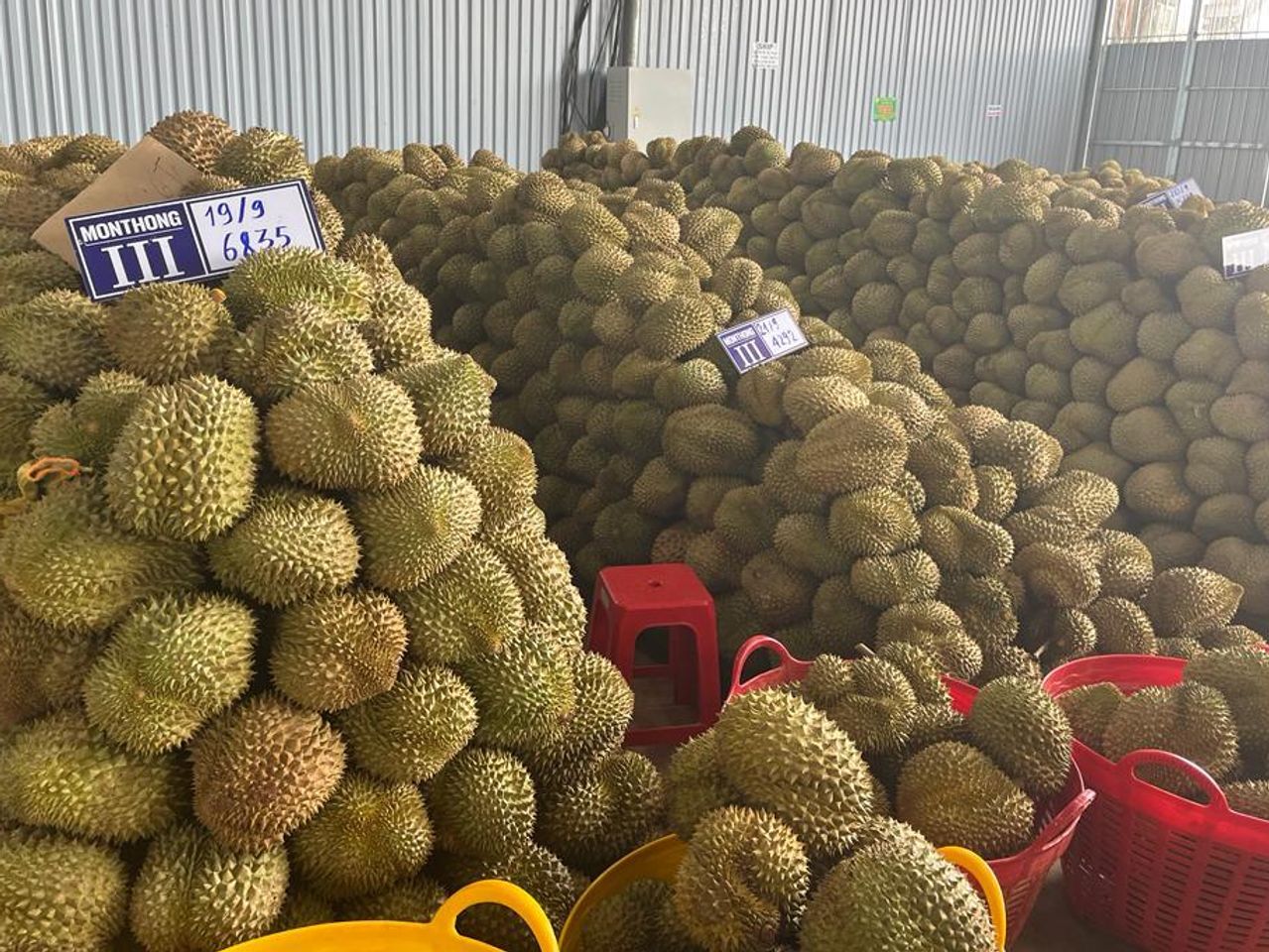 Durian, a pungent fruit, has become wildly popular in China. JON EMONT / THE WALL STREET JOURNAL