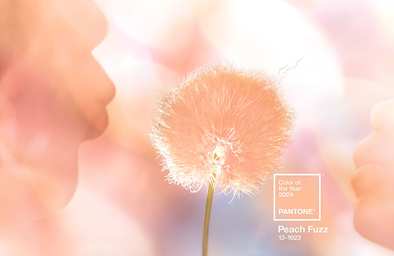 Pantone Colour of the Year is Fuzzy Peach