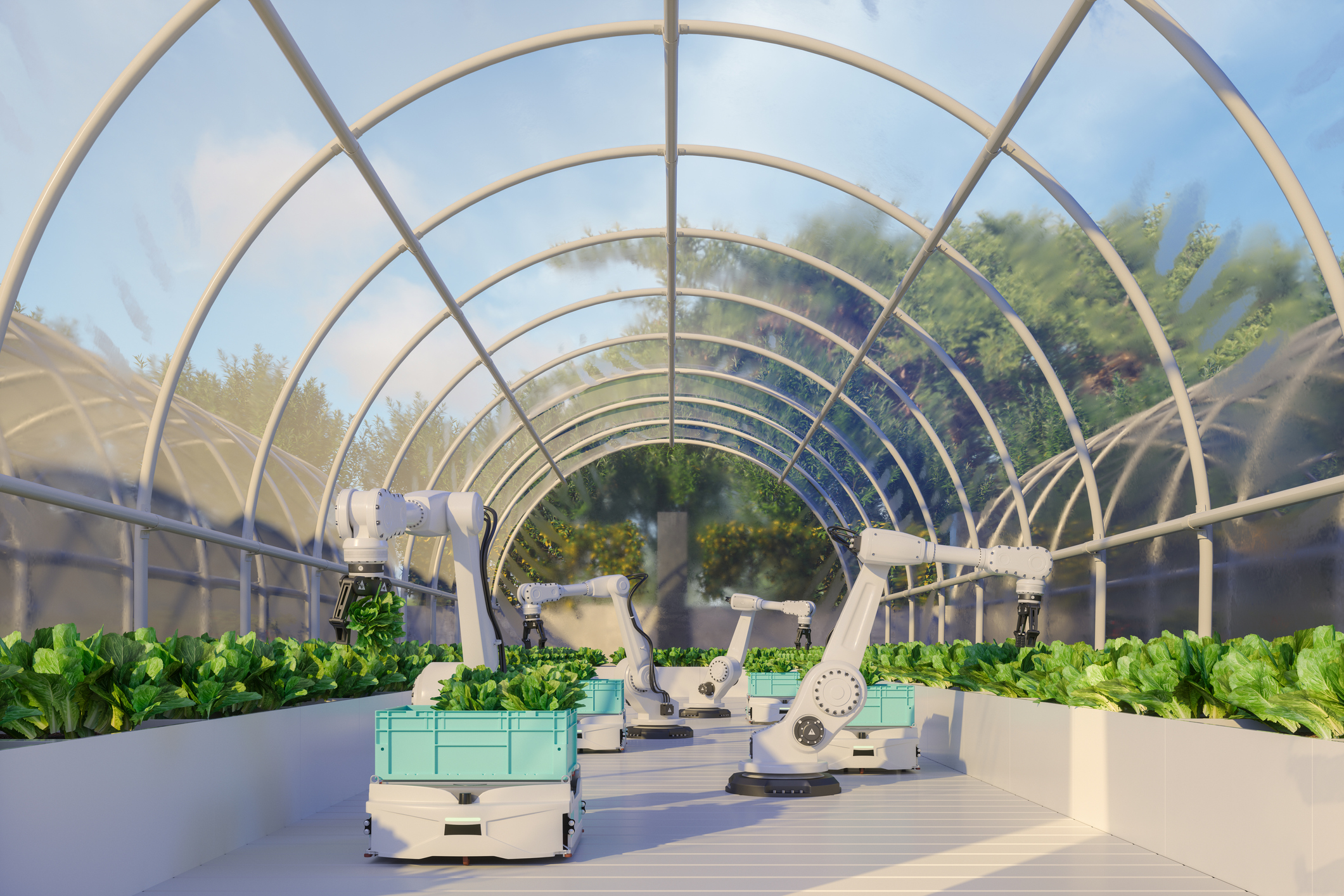 Smart Farming Technology With Robotic Arms Harvesting Vegetables In Automated Greenhouse. Credit: Credit:	onurdongel/Getty Images