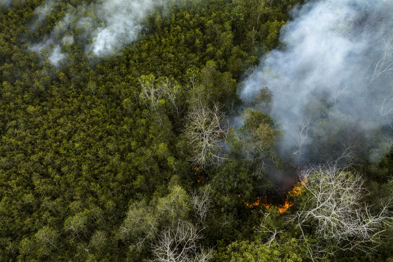 An aerial view of peatland and fields fires last September in South Sumatra, Indonesia. At least six provinces in the country battled ongoing forest fires as illegal blazes to clear land for agricultural plantation take control, causing respiratory illnesses and biodiversity loss.
Getty Images
