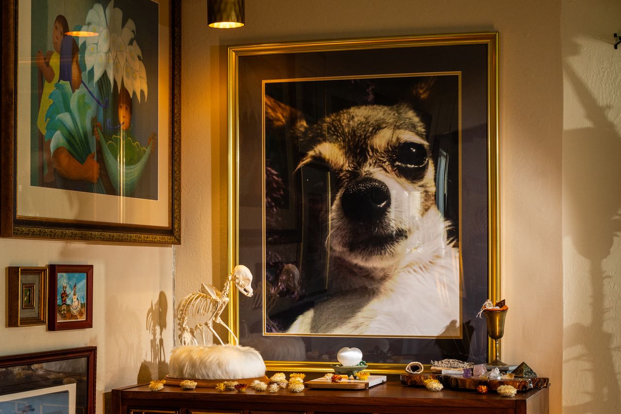 Owners are honoring deceased pets with taxidermy and customized urns. Mari Moore preserved the bones of her dog, Shirley (above). HELYNN OSPINA FOR THE WALL STREET JOURNAL